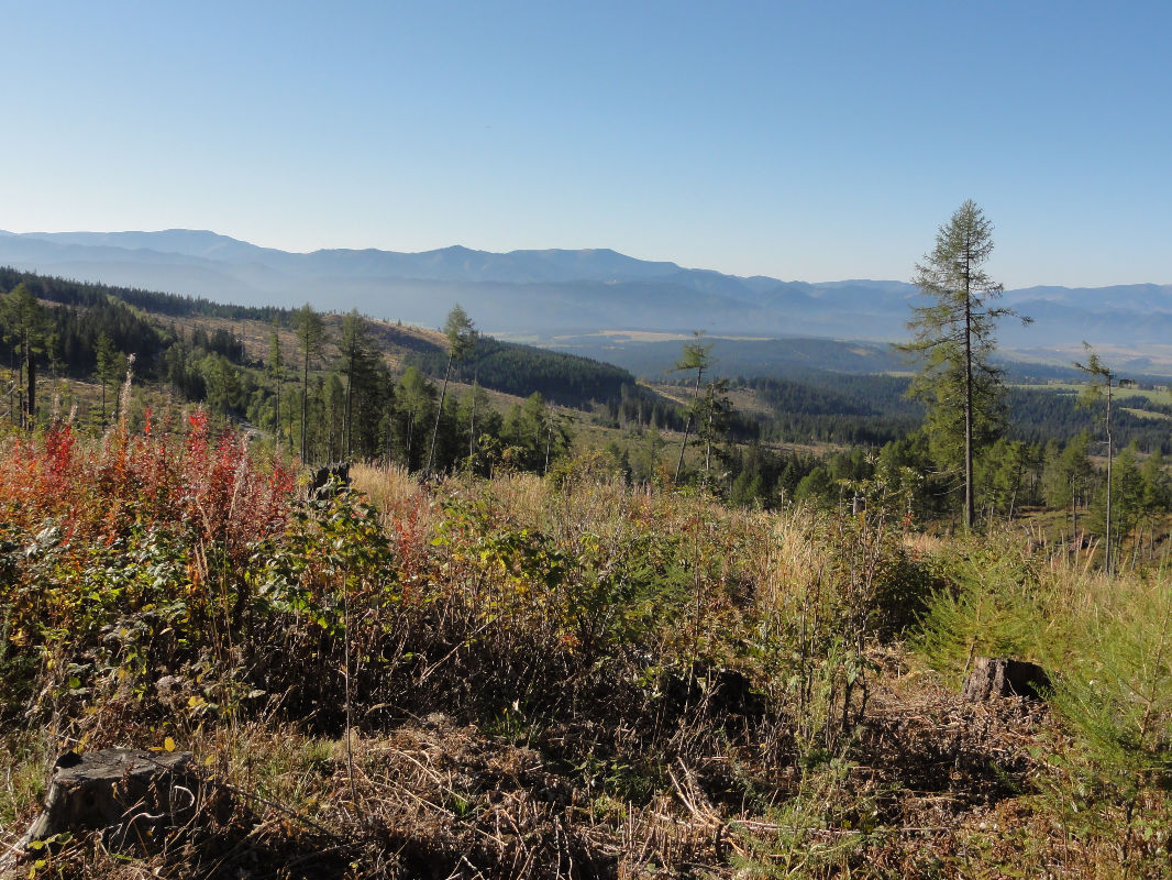 pohled na Nízké tatry