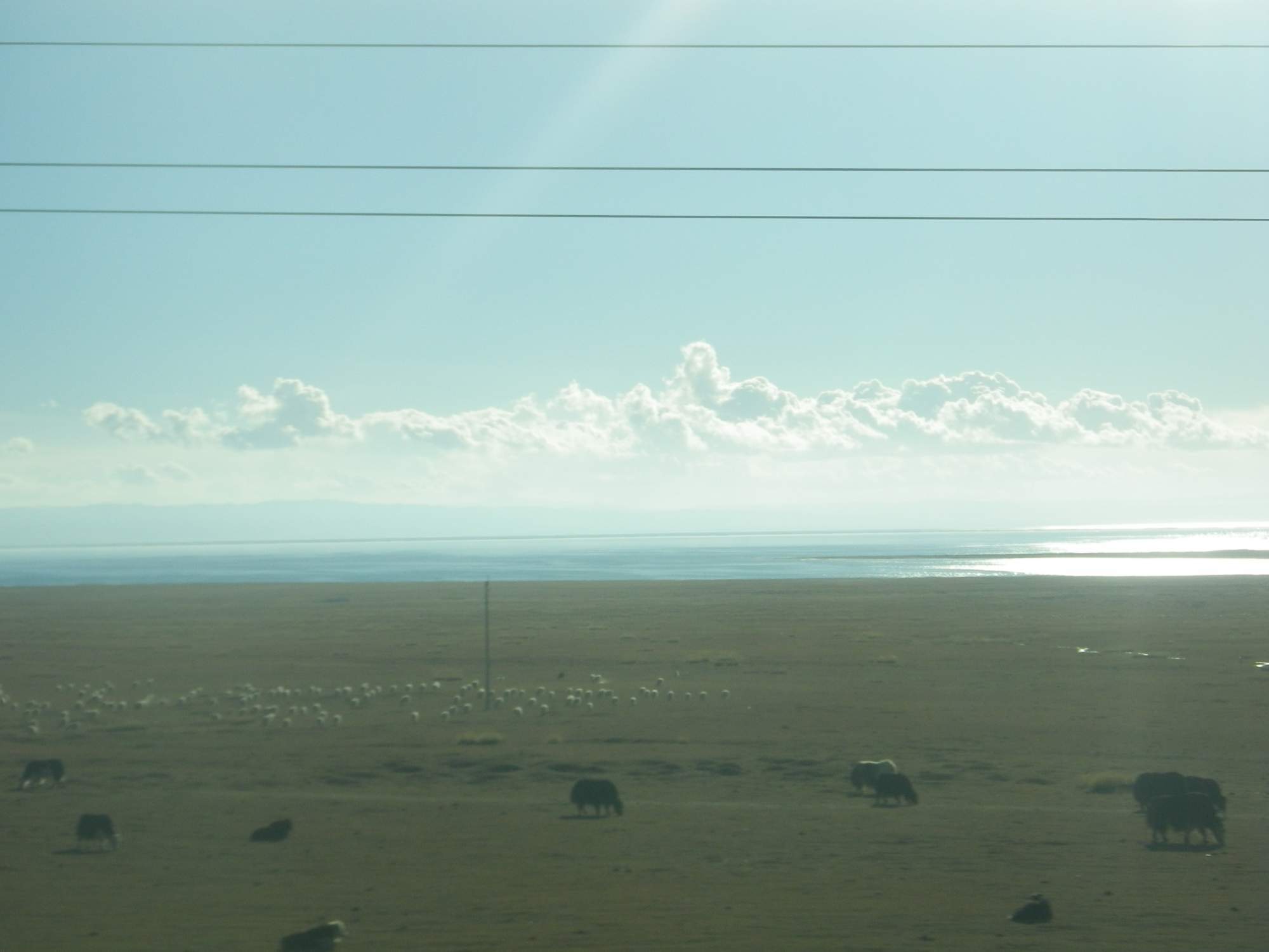 Cesta do Lhasy - jezero Qinhai Hu - 1000km dlouhé