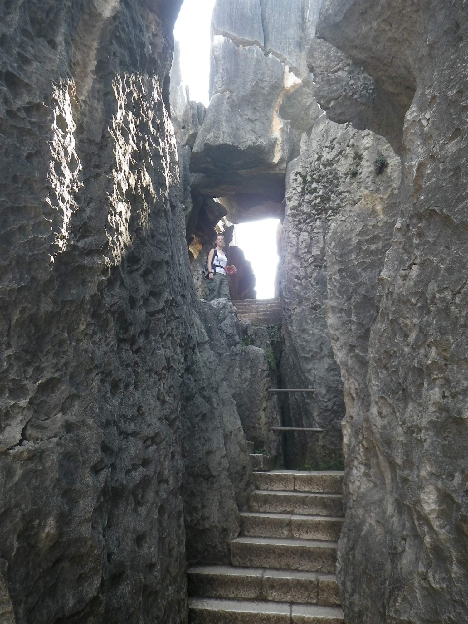 Stone Forest: v kamenném labyrintu